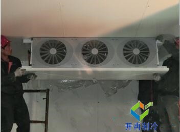 東莞100平水果保鮮冷庫造價大概要多少錢？