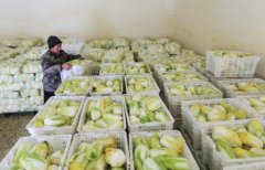 5000噸蔬菜保鮮庫的造價(jià)因素有哪些