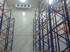 1000噸大姜冷庫(kù)安裝費(fèi)用是多少錢？
