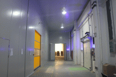 建一個10000立方米大型冷庫需要花多少錢？