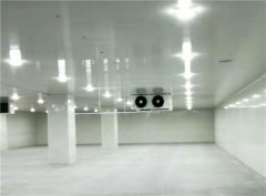 建個一萬平出租型冷庫大概需要投資多少錢？