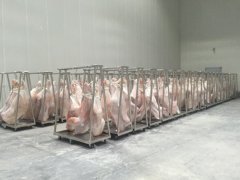 拼裝式冷庫建造工程造價，-18℃豬肉冷凍庫設備
