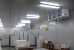大型2-8℃試劑冷庫醫(yī)藥冷庫建設(shè)，體外診斷試劑冷庫