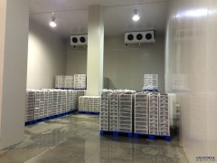 1000噸低溫冷庫安裝流程、設備、造價