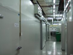5000平冷凍庫設備造價需要多少錢，冷庫總投資多少