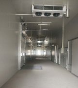 -25℃低溫海鮮魚肉加工廠冷凍庫安裝設計標準費用多少？